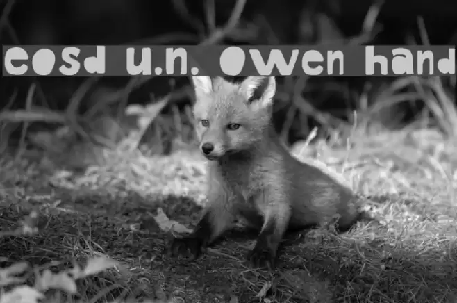EoSD U.N. Owen Hand Font examples