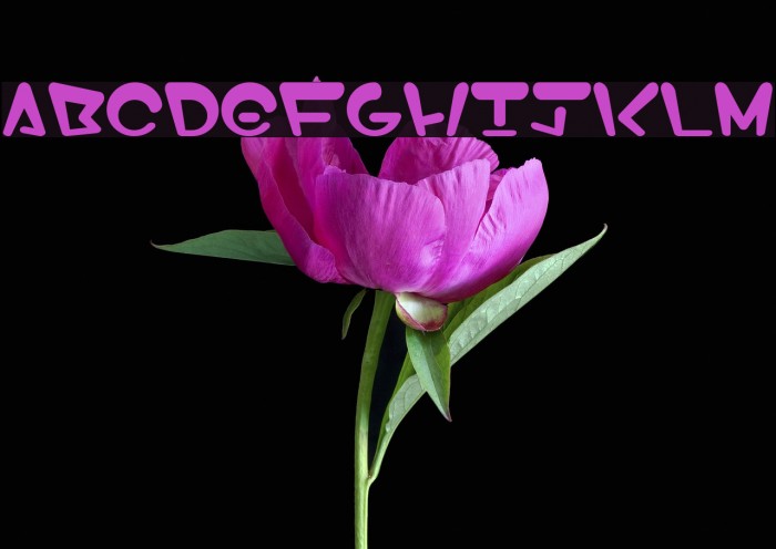 EosE Font examples