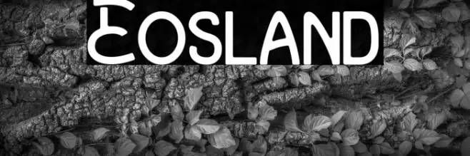 Eosland Example 3