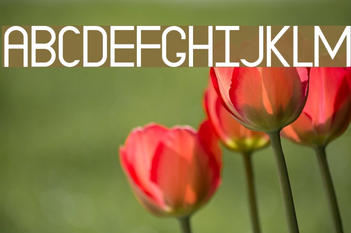 EP Dominate Example 2