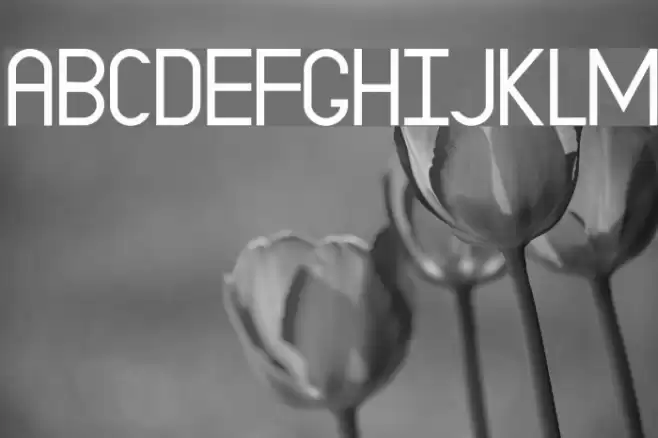 EP Dominate Font examples