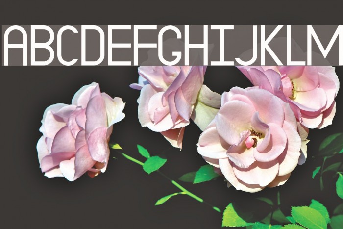 EP Dominate Example 3