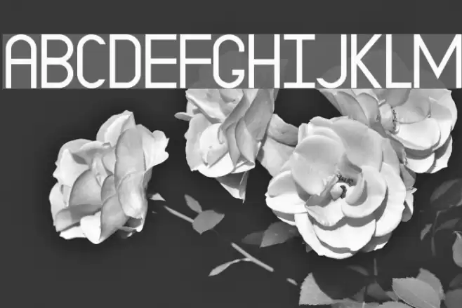 EP Dominate Font examples