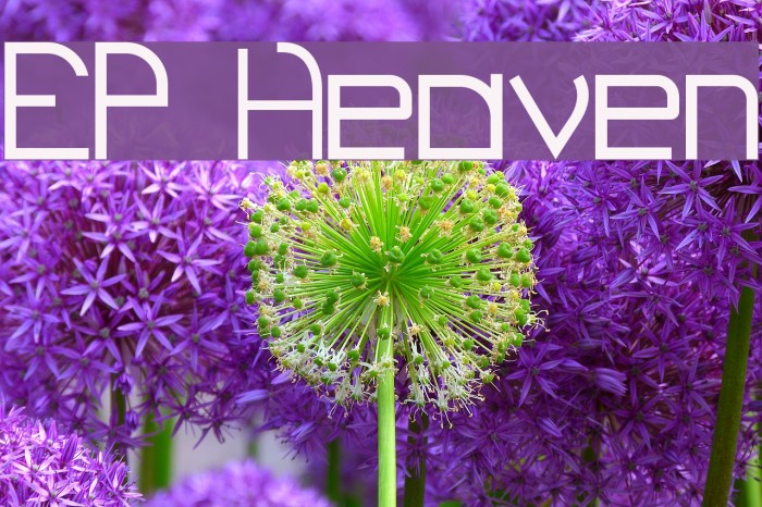 EP Heaven Font examples