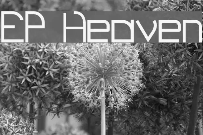 EP Heaven Example 2
