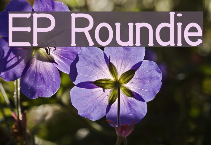 EP Roundie Font examples