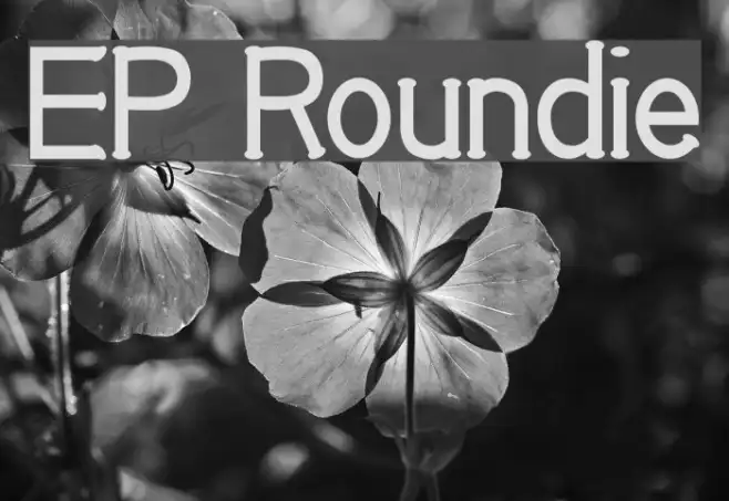 EP Roundie Example 2