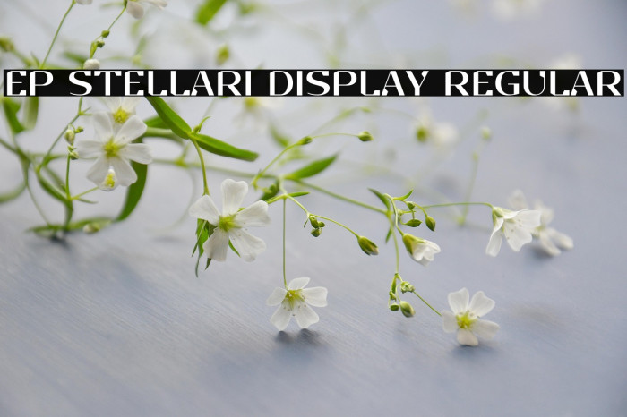 EP Stellari Display Regular Example 1