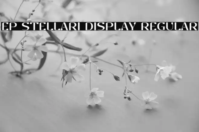 EP Stellari Display Regular Example 1