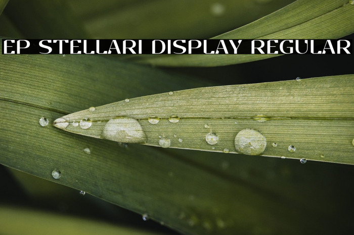 EP Stellari Display Regular Example 2