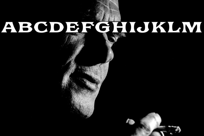 Ephemera Fascia Demo Example 2