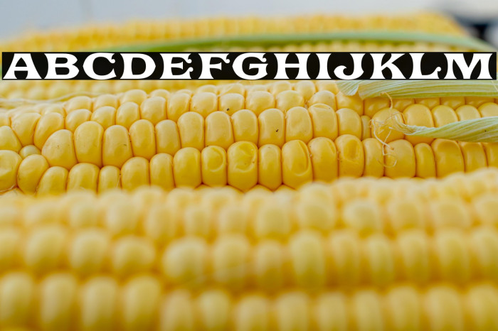 Ephemera Fascia Demo Example 3