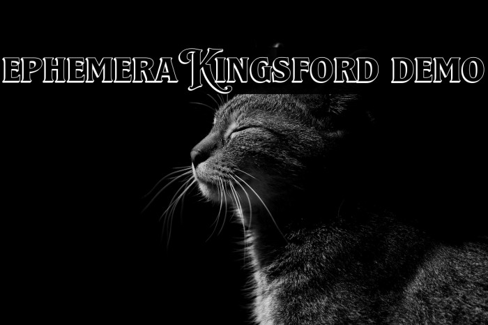 Ephemera Kingsford DEMO Example 1