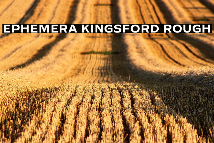 Ephemera Kingsford Rough Example 1