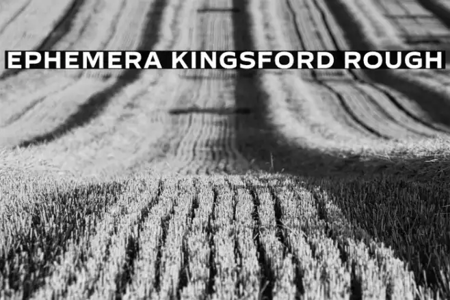 Ephemera Kingsford Rough Example 1