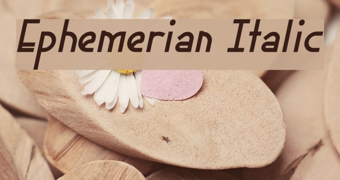 Ephemerian Italic Font examples