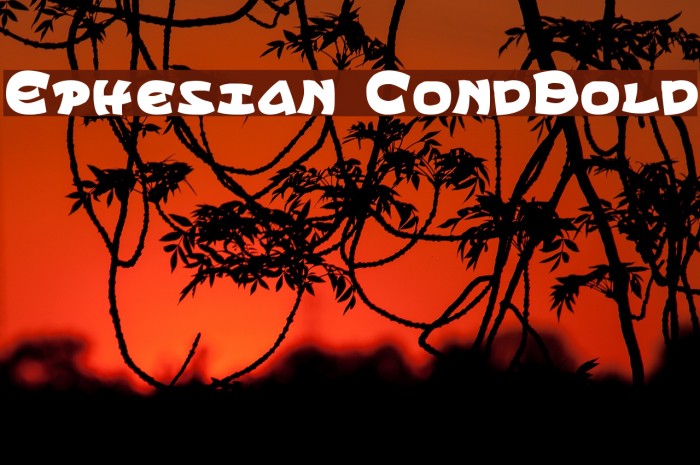 Ephesian CondBold Fuentes examples