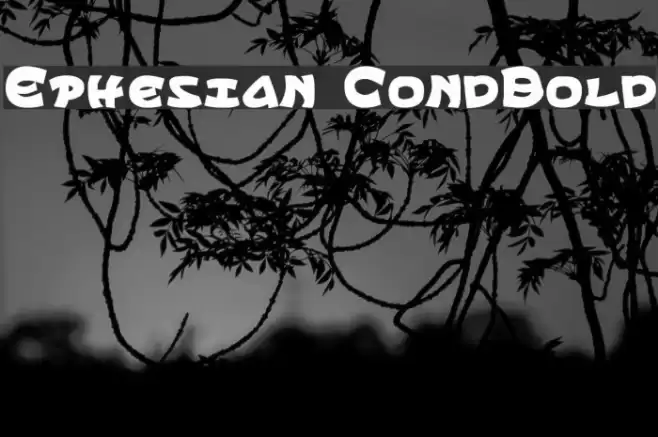 Ephesian CondBold Fuentes examples