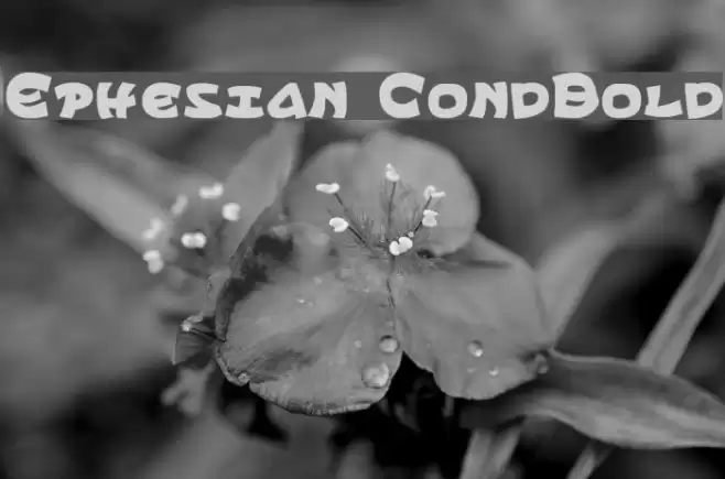 Ephesian CondBold Fuentes examples