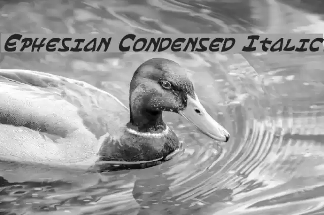 Ephesian Condensed Italic Font examples