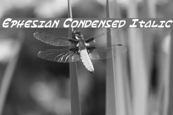 Ephesian Condensed Italic Font examples