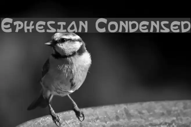 Ephesian Condensed Fuentes examples