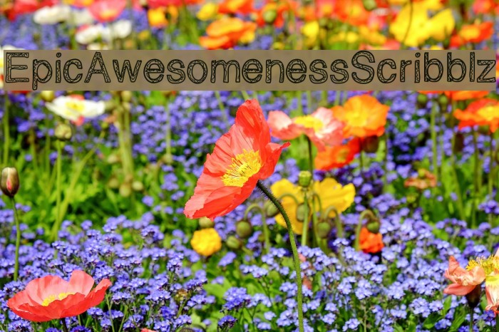 EpicAwesomenessScribblz Font examples
