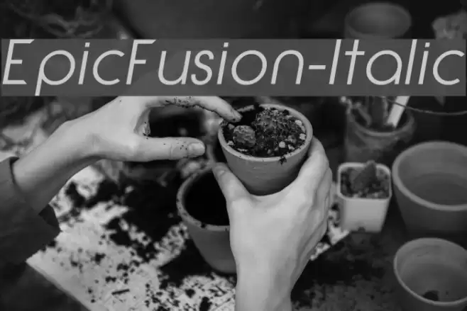 EpicFusion-Italic Font examples