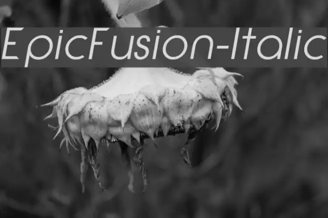 EpicFusion-Italic Font examples