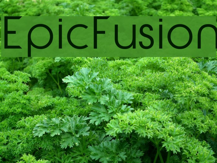 EpicFusion Example 3