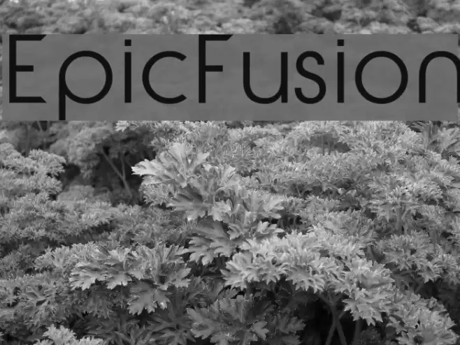 EpicFusion Font examples