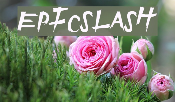 EpicSlash Font examples