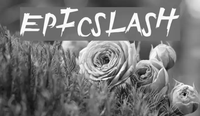 EpicSlash Example 3
