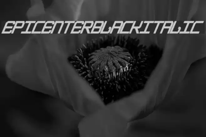 EpicenterBlackItalic Font examples