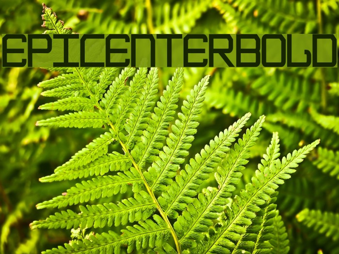 EpicenterBold Font examples