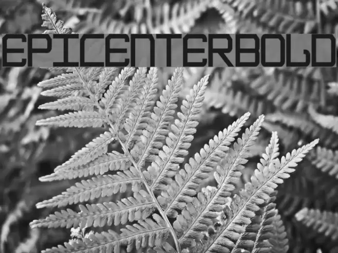 EpicenterBold Font examples