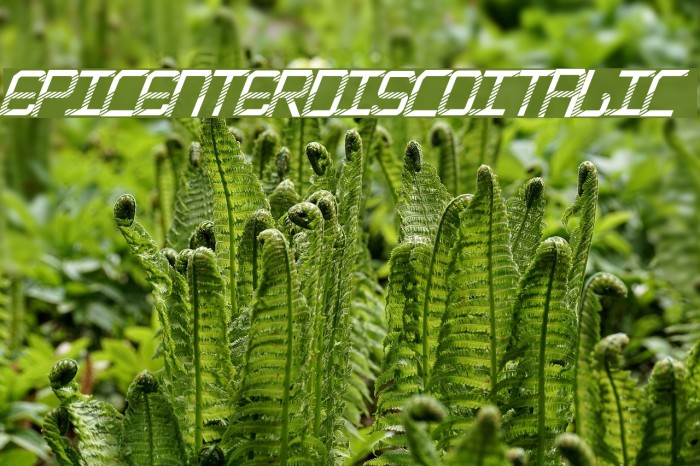 EpicenterDiscoItalic Font examples