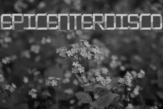 EpicenterDisco Font examples