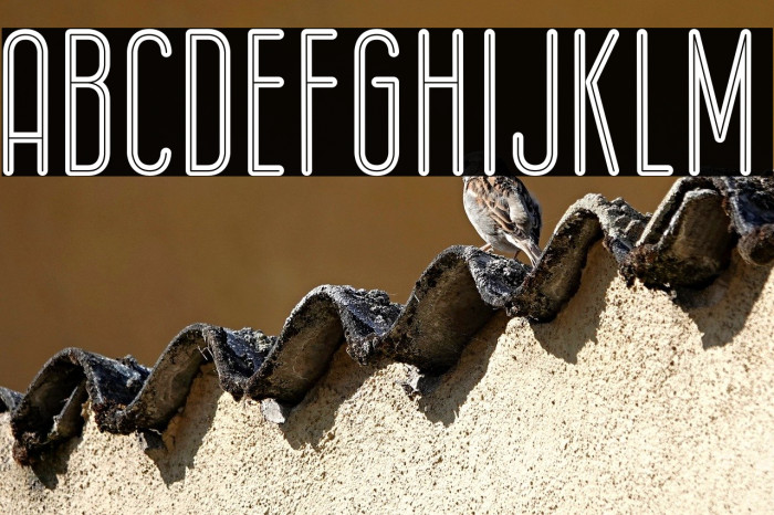 Epicentrum Example 3