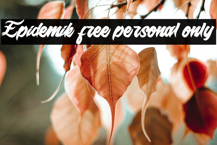 Epidemik free personal only  Example 1