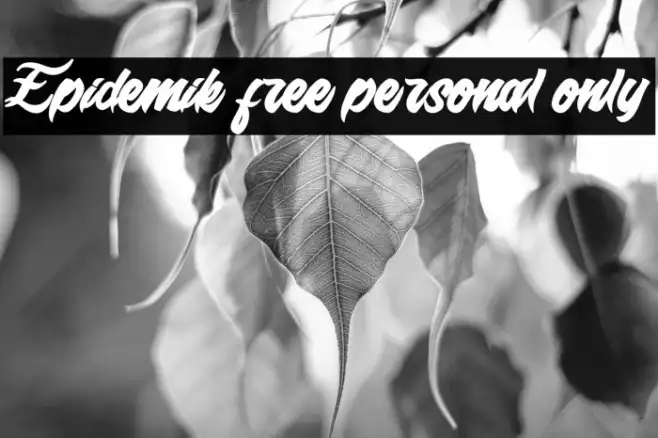 Epidemik free personal only  Example 1