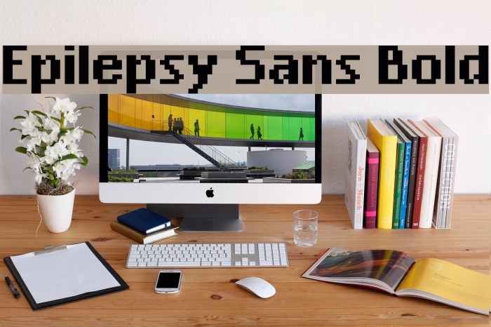 Epilepsy Sans Bold Font examples