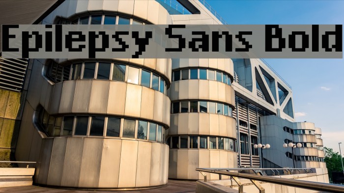 Epilepsy Sans Bold Font examples