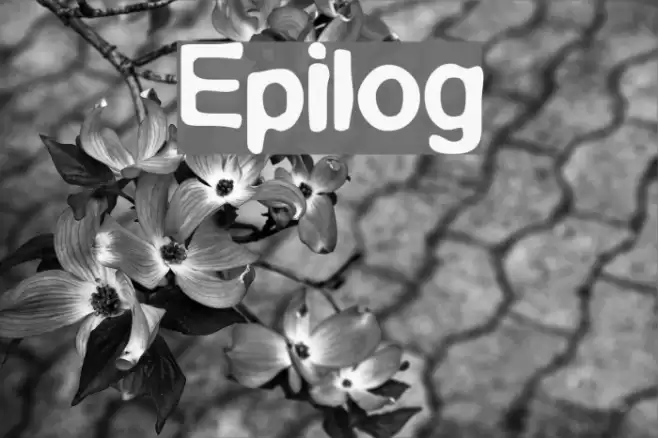 Epilog Font examples