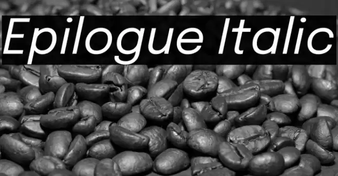 Epilogue Italic Fonte examples