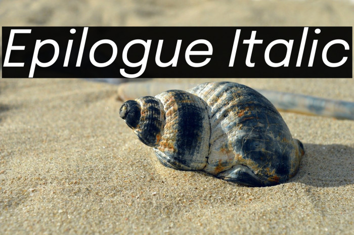Epilogue Italic Example 2