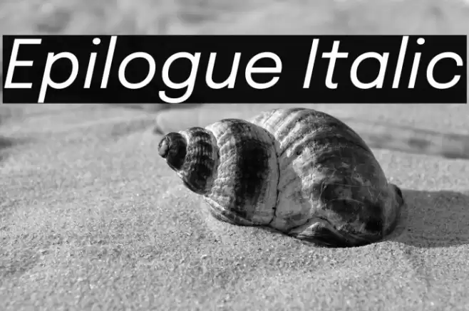 Epilogue Italic Fonte examples