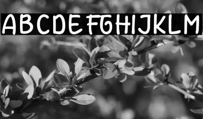 Epiphany Font examples