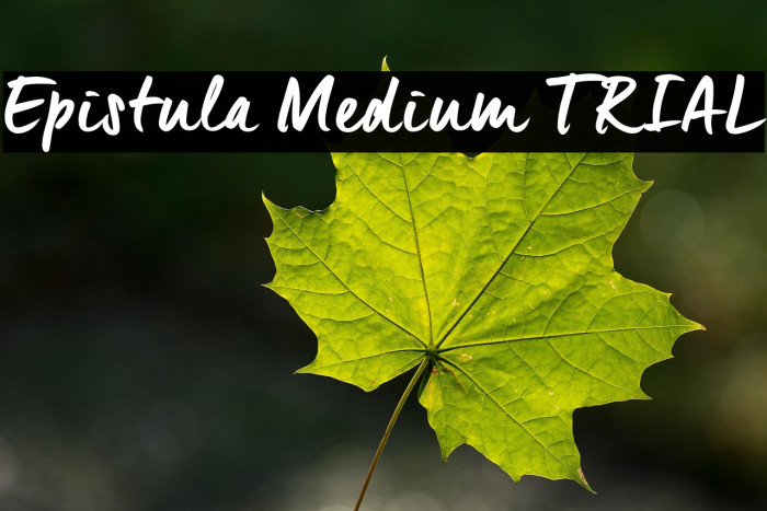 Epistula Medium TRIAL Example 3