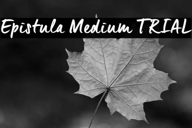 Epistula Medium TRIAL Example 3